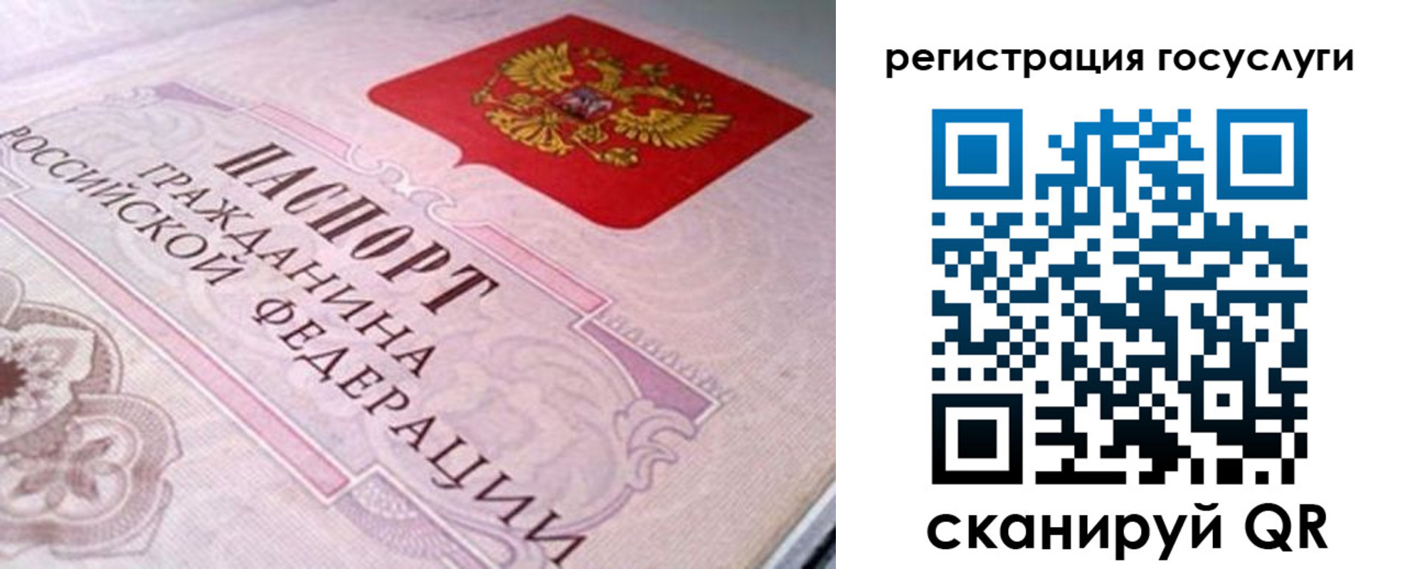 где прописаться в Пересвете